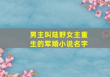 男主叫陆野女主重生的军婚小说名字