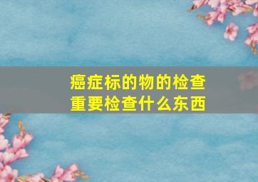 癌症标的物的检查重要检查什么东西