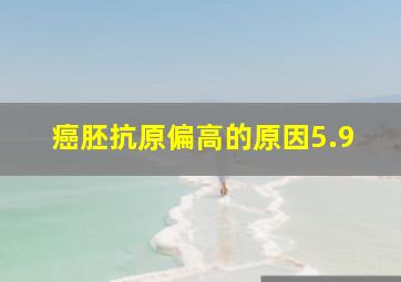 癌胚抗原偏高的原因5.9