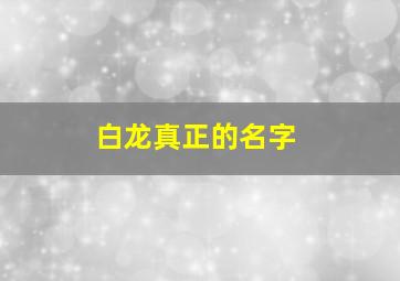 白龙真正的名字