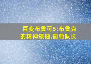 百变布鲁可5:布鲁克的精神领袖,葡萄队长