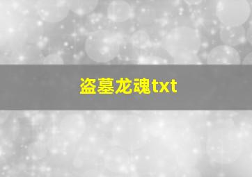 盗墓龙魂txt