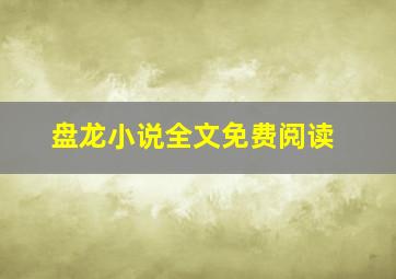 盘龙小说全文免费阅读