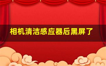 相机清洁感应器后黑屏了