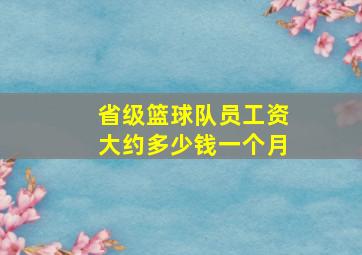 省级篮球队员工资大约多少钱一个月