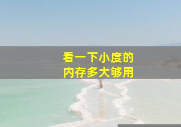 看一下小度的内存多大够用