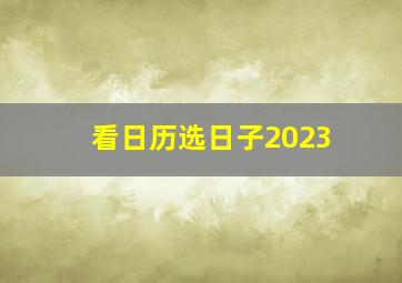 看日历选日子2023