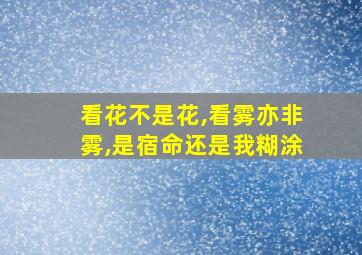 看花不是花,看雾亦非雾,是宿命还是我糊涂