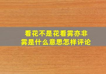 看花不是花看雾亦非雾是什么意思怎样评论