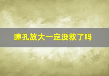 瞳孔放大一定没救了吗