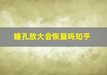 瞳孔放大会恢复吗知乎