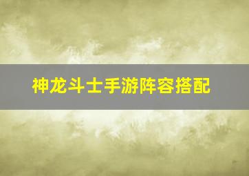 神龙斗士手游阵容搭配