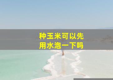 种玉米可以先用水泡一下吗