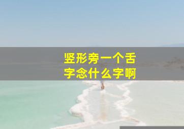 竖形旁一个舌字念什么字啊