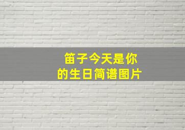 笛子今天是你的生日简谱图片