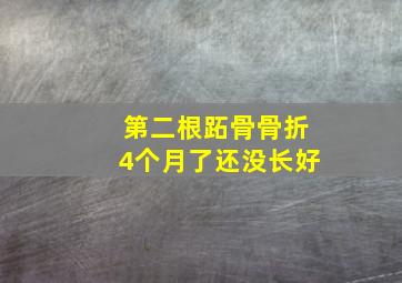 第二根跖骨骨折4个月了还没长好