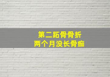 第二跖骨骨折两个月没长骨痂