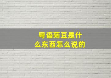 粤语菊豆是什么东西怎么说的