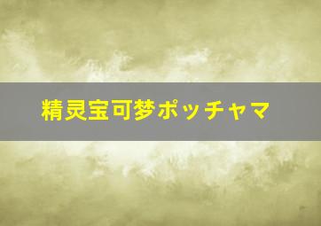 精灵宝可梦ポッチャマ