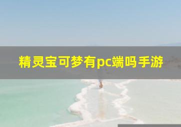 精灵宝可梦有pc端吗手游