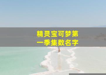 精灵宝可梦第一季集数名字