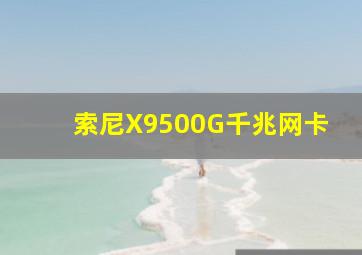 索尼X9500G千兆网卡