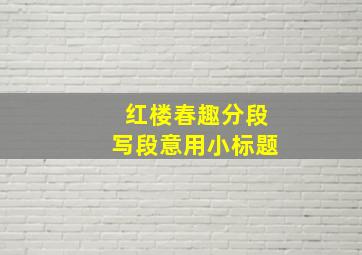 红楼春趣分段写段意用小标题