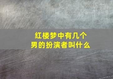 红楼梦中有几个男的扮演者叫什么