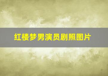 红楼梦男演员剧照图片