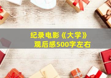 纪录电影《大学》观后感500字左右