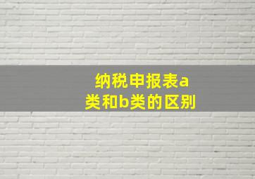 纳税申报表a类和b类的区别