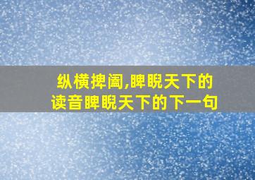 纵横捭阖,睥睨天下的读音睥睨天下的下一句