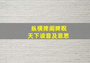 纵横捭阖睥睨天下读音及意思