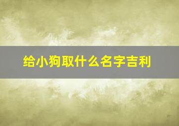 给小狗取什么名字吉利