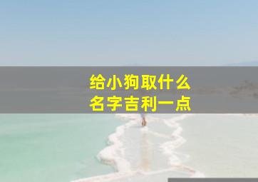 给小狗取什么名字吉利一点