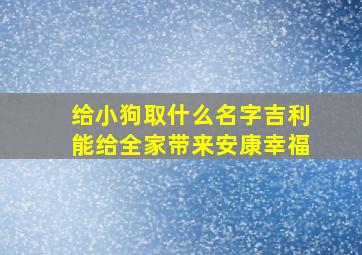 给小狗取什么名字吉利能给全家带来安康幸福