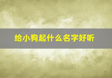 给小狗起什么名字好听