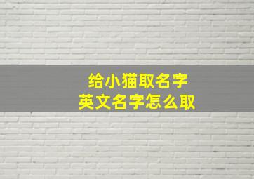 给小猫取名字英文名字怎么取