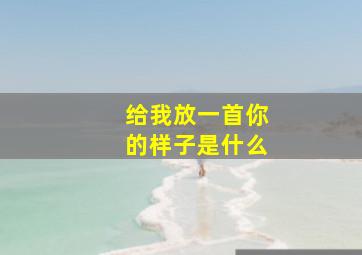 给我放一首你的样子是什么