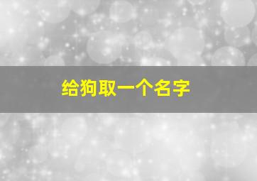 给狗取一个名字