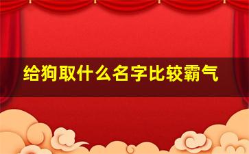 给狗取什么名字比较霸气