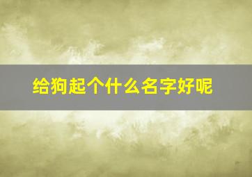 给狗起个什么名字好呢