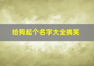 给狗起个名字大全搞笑