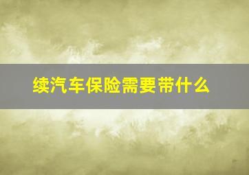 续汽车保险需要带什么