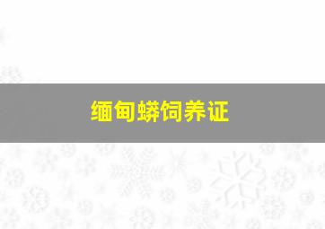 缅甸蟒饲养证