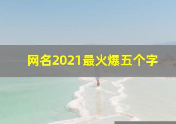 网名2021最火爆五个字