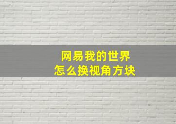 网易我的世界怎么换视角方块