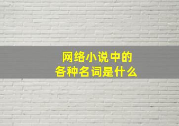 网络小说中的各种名词是什么