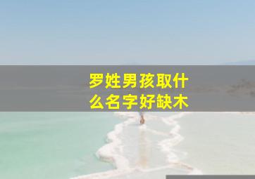 罗姓男孩取什么名字好缺木