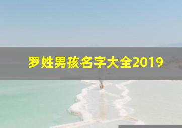 罗姓男孩名字大全2019